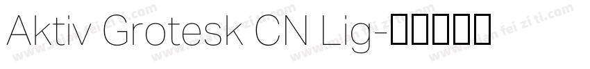Aktiv Grotesk CN Lig字体转换
